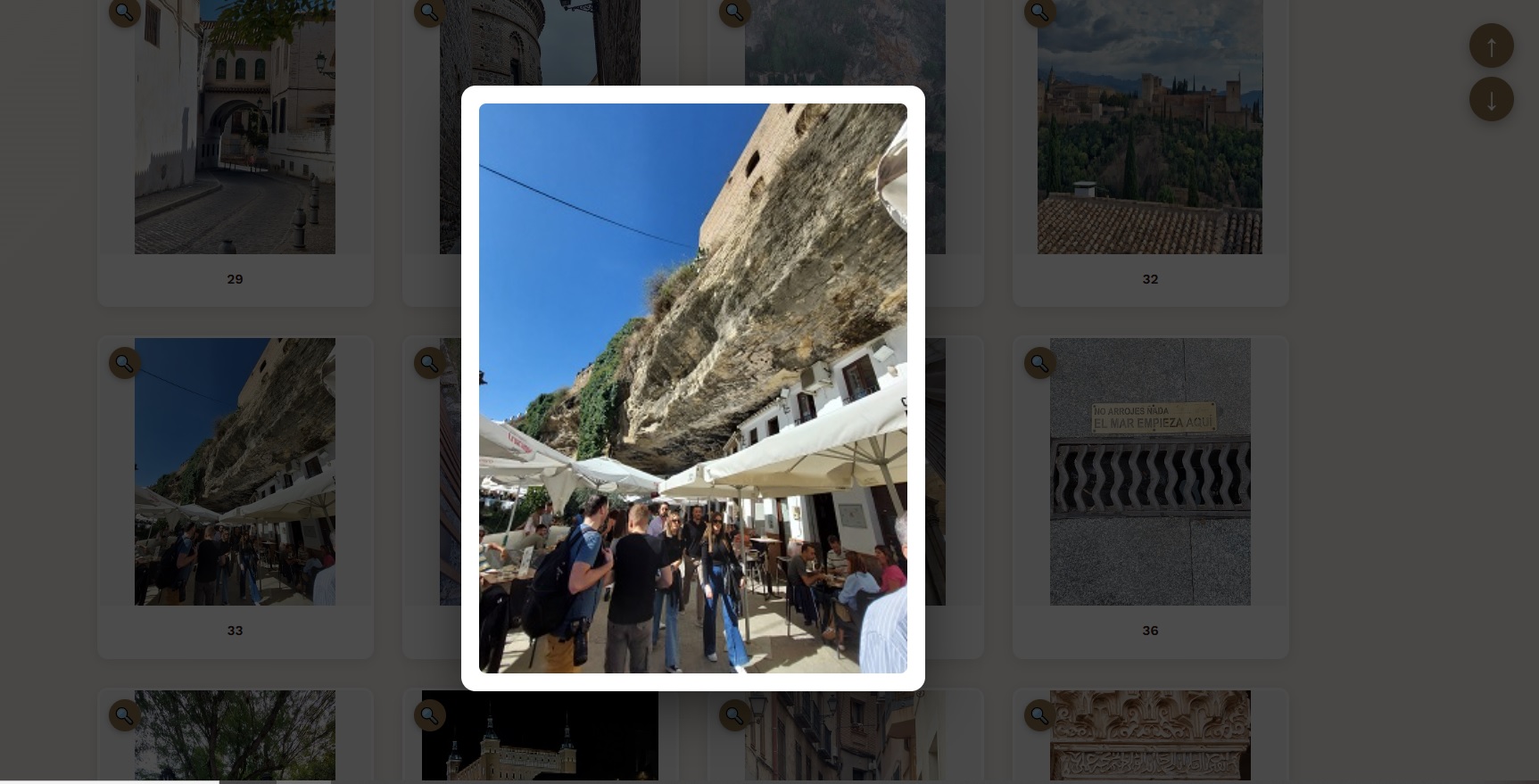 Nuevo Software de Coaching Metafórico on-line - Pantalla de acceso